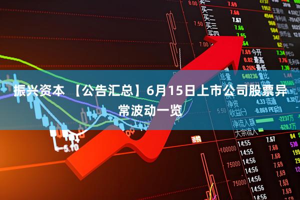振兴资本 【公告汇总】6月15日上市公司股票异常波动一览