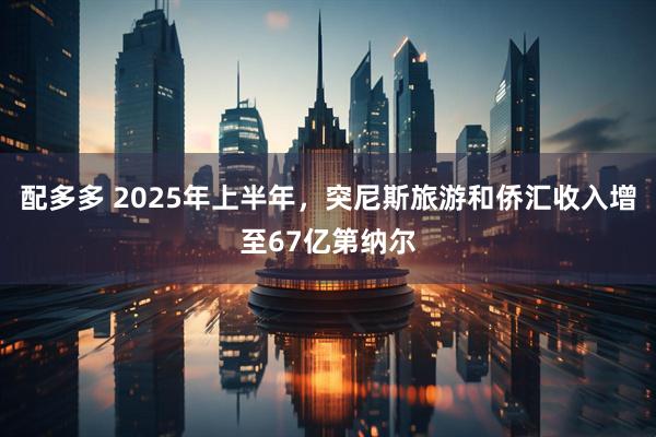 配多多 2025年上半年，突尼斯旅游和侨汇收入增至67亿第纳尔
