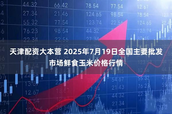 天津配资大本营 2025年7月19日全国主要批发市场鲜食玉米价格行情